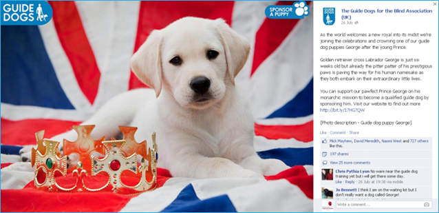 Guide Dogs Graphic-1.jpg